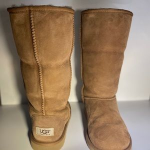 Tall Chestnut Uggs